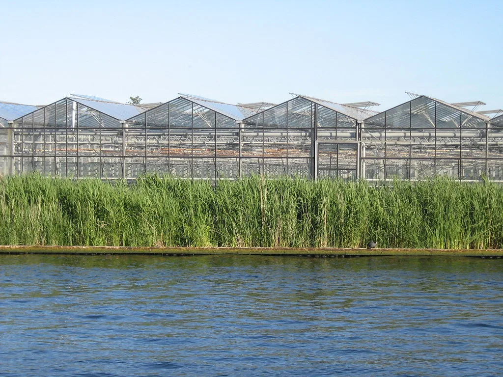 kleine kweekkas tuin houten kas serre aluminium antraciet